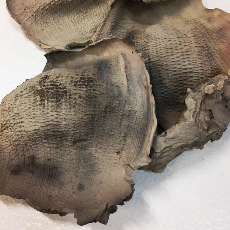 FDD11643-B724-4562-BFA9-B0EF0192F960